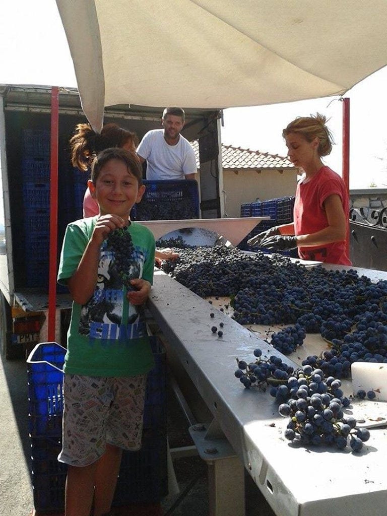 oenogenesis estate 14.jpg